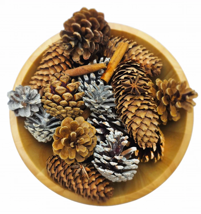 worek-aromatycznych-szyszek-misa-zblizenie